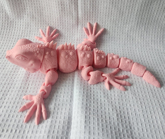 Iguana
